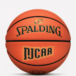 Legacy TF1000® NJCAA Indoor Game Basketball