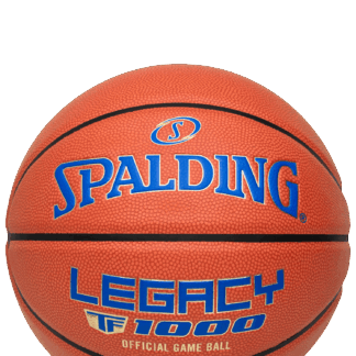Legacy TF1000® Indoor Basketball