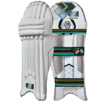Aion 909 Batting Pads